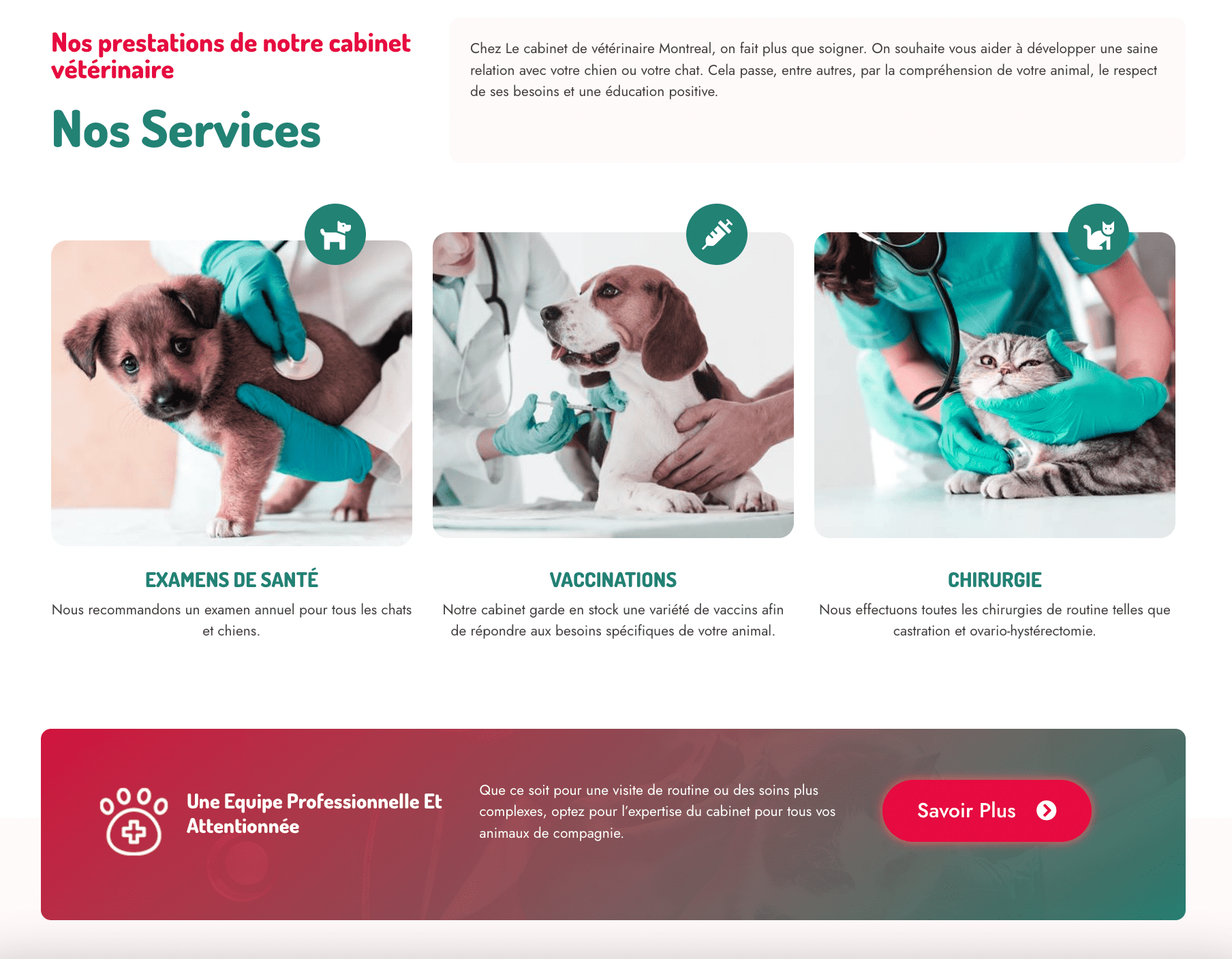 Aperçu du site https://veterinaire-montreal.com