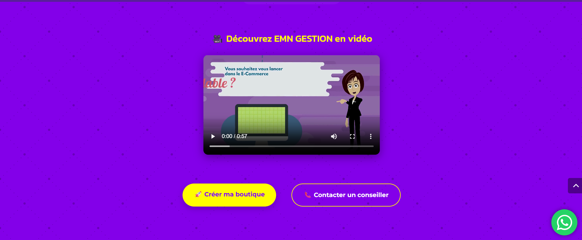 Aperçu du site http://www.emngestion.com