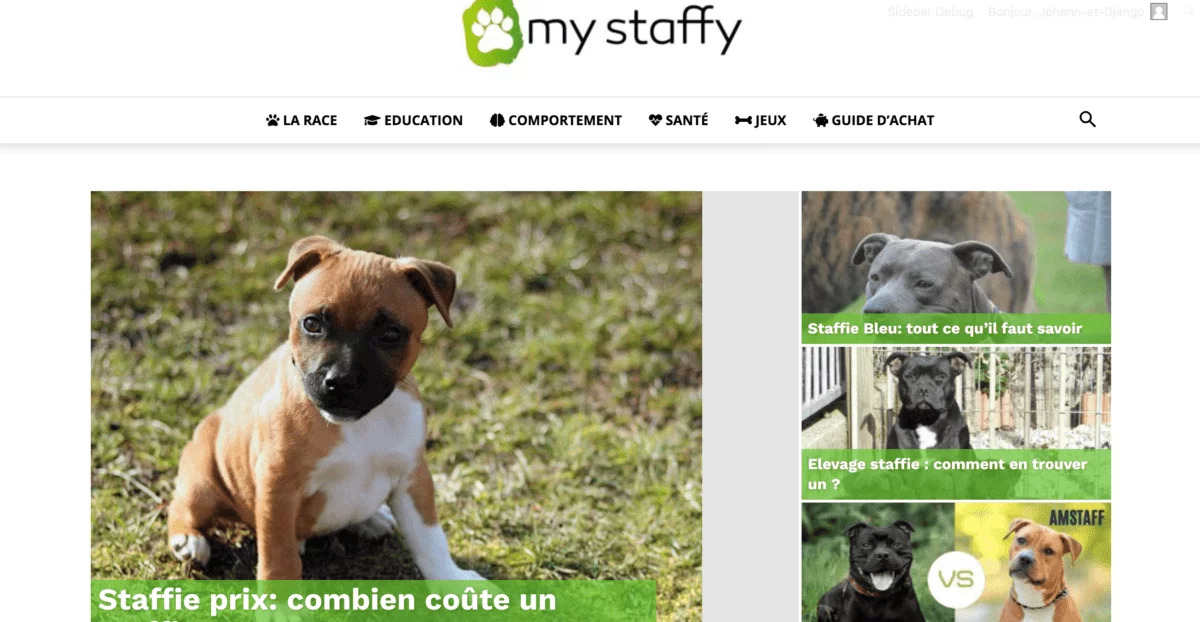 Aperçu du site https://my-staffy.com