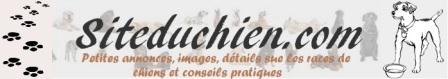 Aperçu du site https://www.siteduchien.com