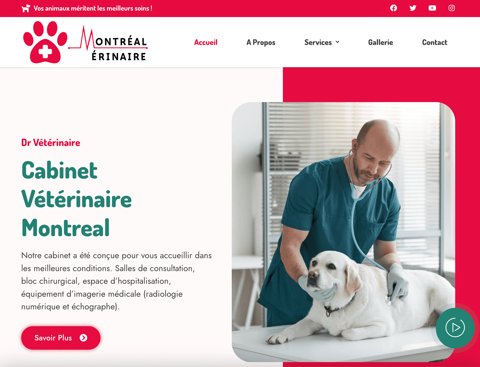 Aperçu du site https://veterinaire-montreal.com